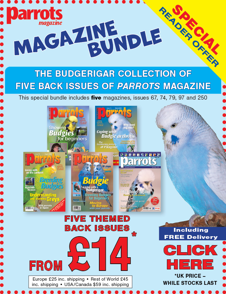 Budgie magazine bundle offer