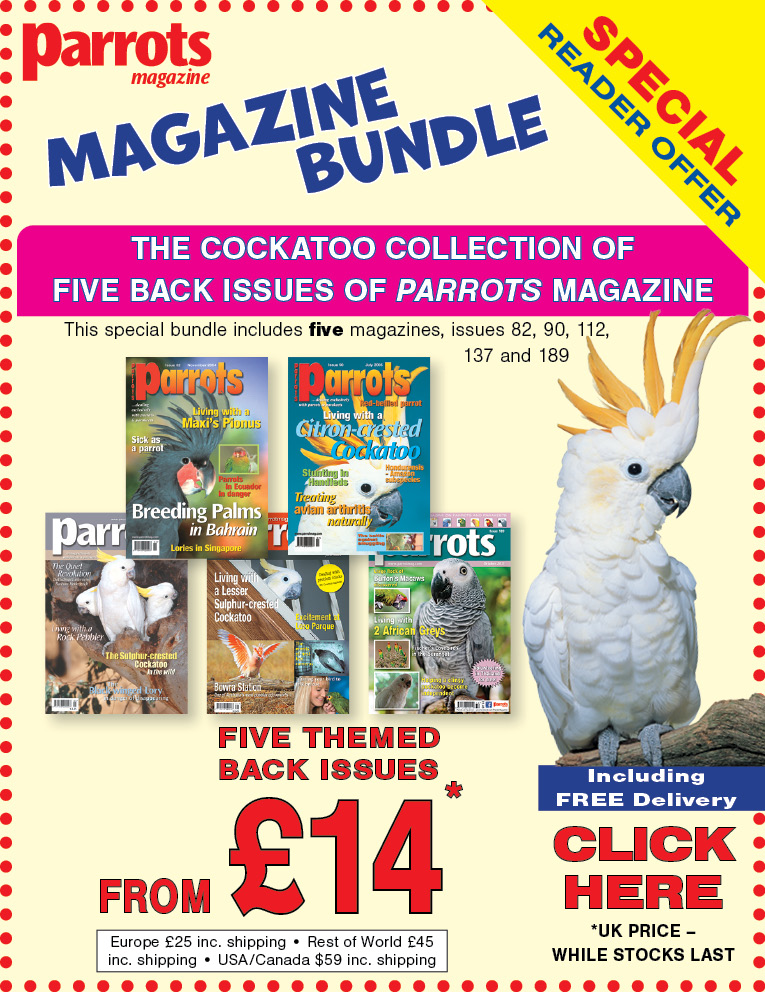 Cockatoo magazine bundle offer