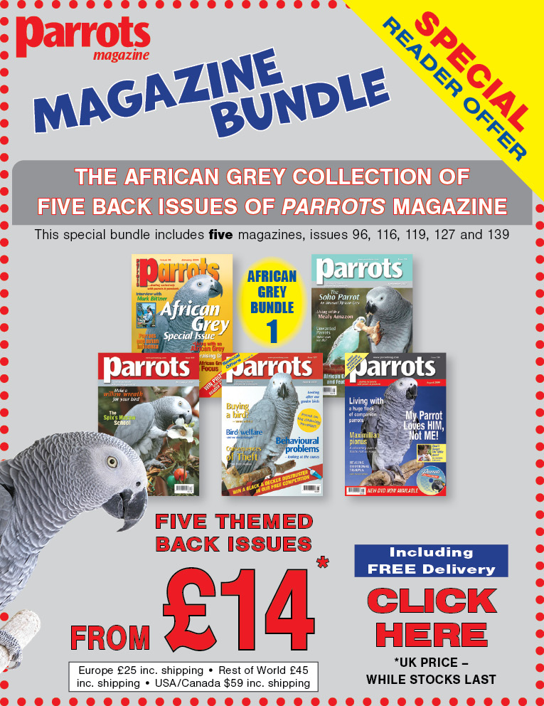 African Grey magazine bundle offer 1