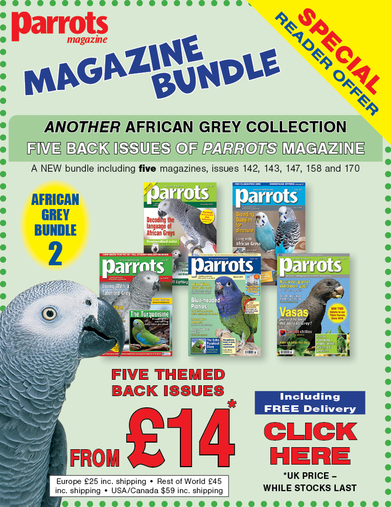 African Grey magazine bundle offer 2