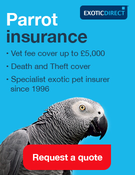 Exotic Direct Parrot Insurance