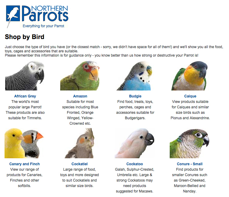 Northern Parrots sponsors Think Parrots Show 2015