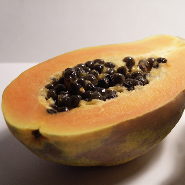 Papaya