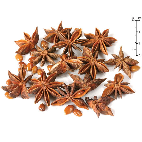 StarAnise