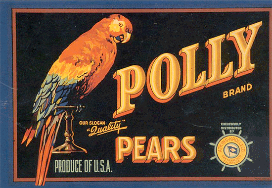 Collecting parrots on postcards