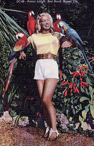 Parrot Jungle Miami