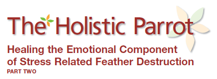 Healing the Emotional Component of Stress Related Feather Destruction