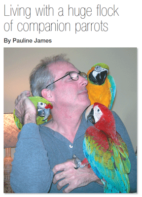 Living with a huge flock of companion parrots