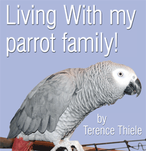 Living with my parrot family!