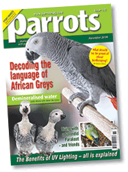 Parrots magazine