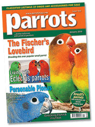 Parrots magazine January 2010