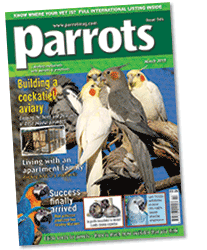 Parrots magazine March 2010 issue