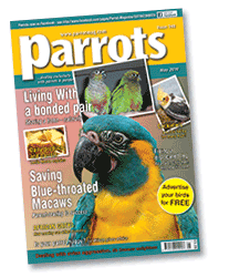 Parrots 148 - May 2010