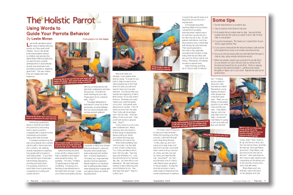 Parrots magazine September 2010