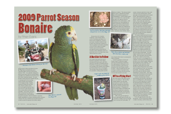 What's in Parrots magazine 153