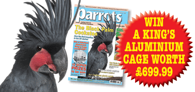 Parrots magazine issue 156
