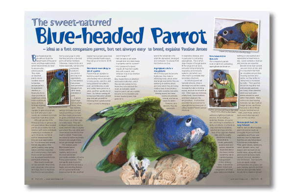 Parrots magazine March 2011