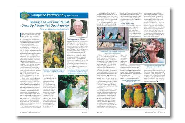 Parrots Magazine 160