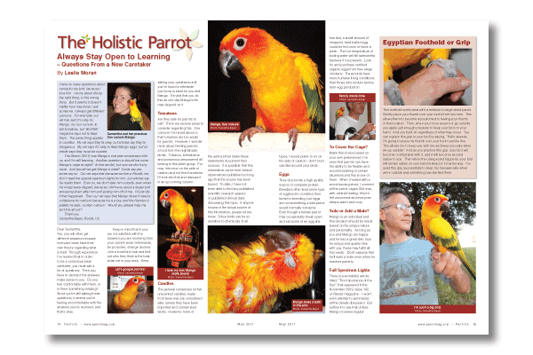 Parrots magazine 160