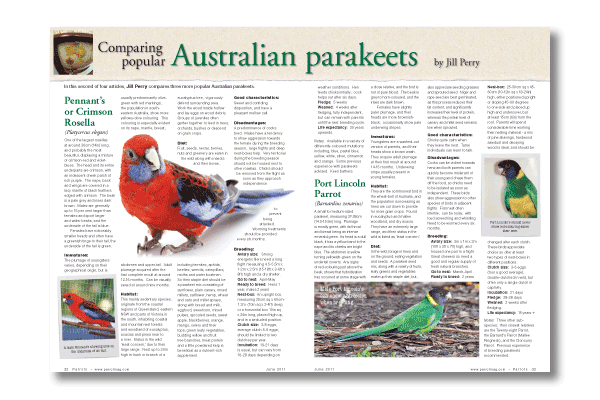 Parrots magazine 161