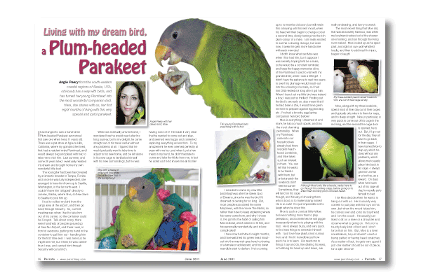 Parrots magazine June 2011
