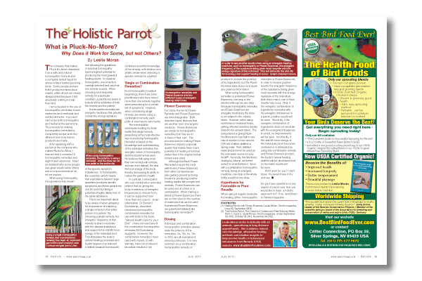 Parrots magazine issue 162
