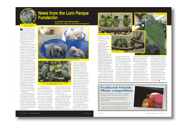 Parrots magazine edition 162