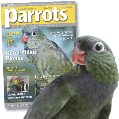 Parrots magazine August 2011 issue