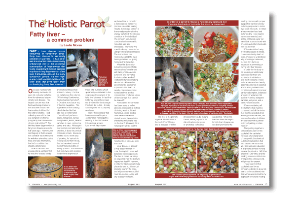 Parrots magazine August 2011