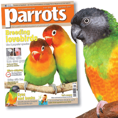 September 2011 edition of Parrots magazine