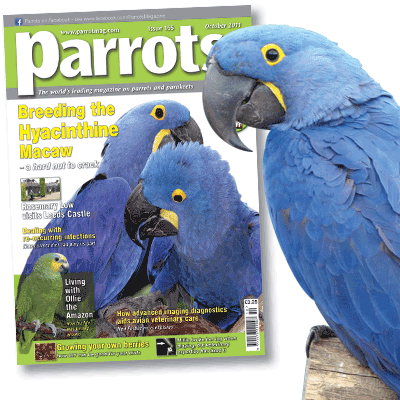 Parrots magazine October 2011