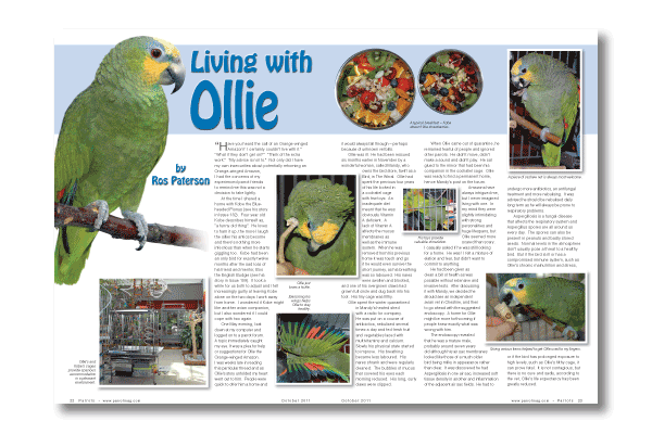 Parrots magazine October 2011