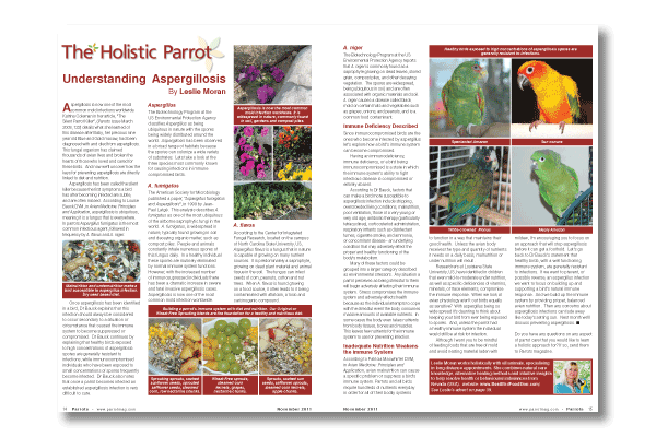 Parrots magazine 166