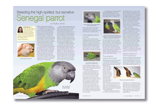 Parrots magazine 167