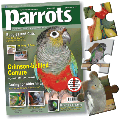 Parrots magazine January 2012