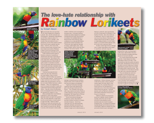 Parrots magazine January 2012