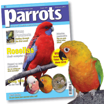 Parrots magazine February 2012