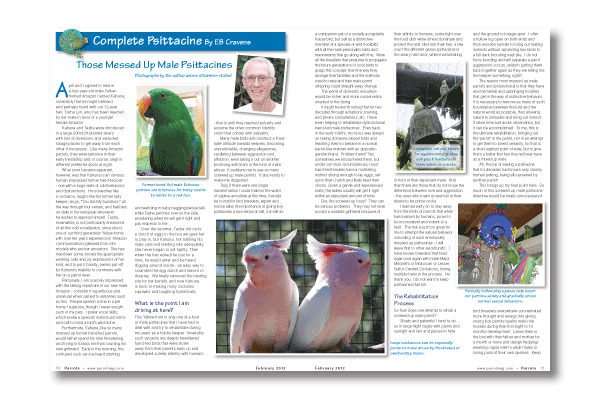 Parrots magazine 169