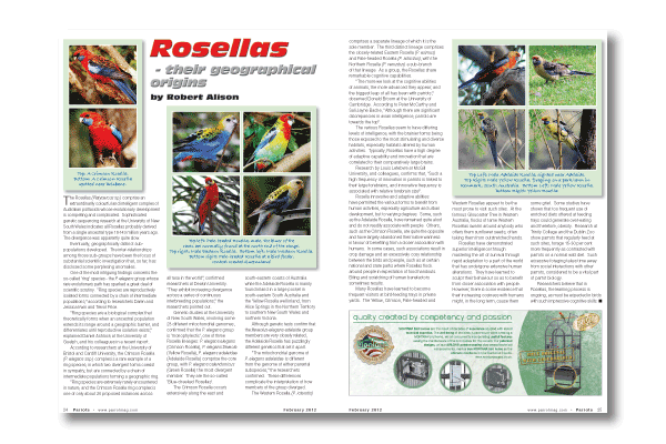 Rosellas - Parrots magazine