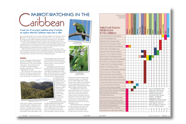 Parrots magazine April 2012