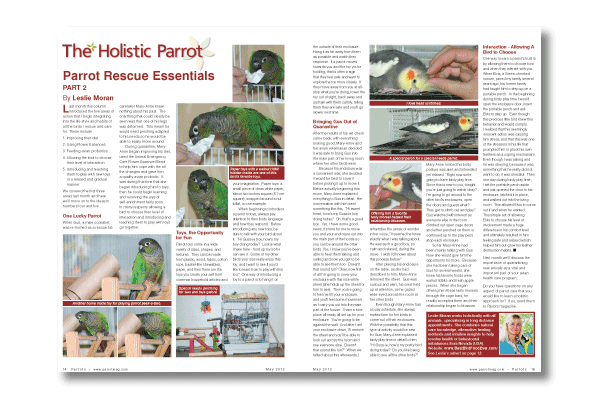 Parrots magazine May 2012