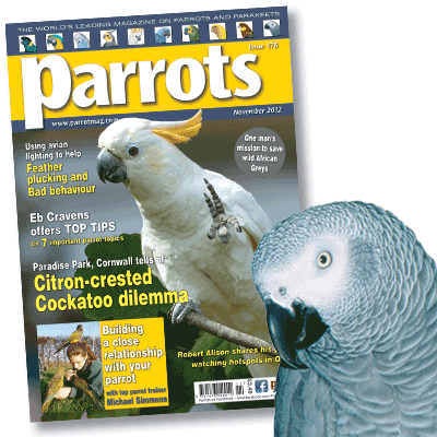 Parrots magazine - November 2012