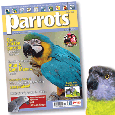 Parrots magazine 180