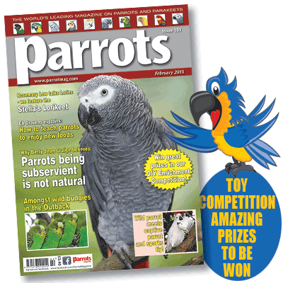 Parrots magazine February 2013