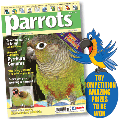 Parrots magazine March 2013