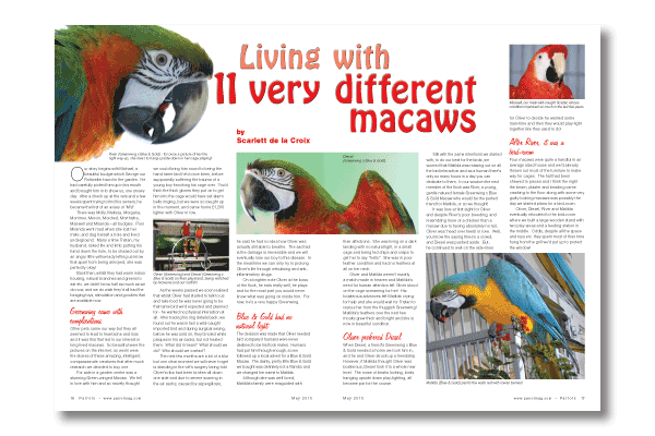 Parrots magazine May 2013