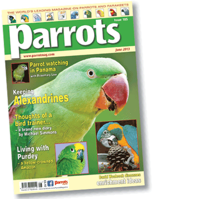 Parrots magazine, June 2013 edition