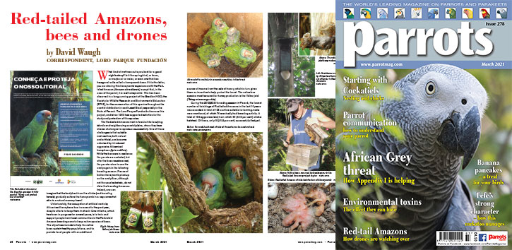 Spreads for web Parrots 278 4