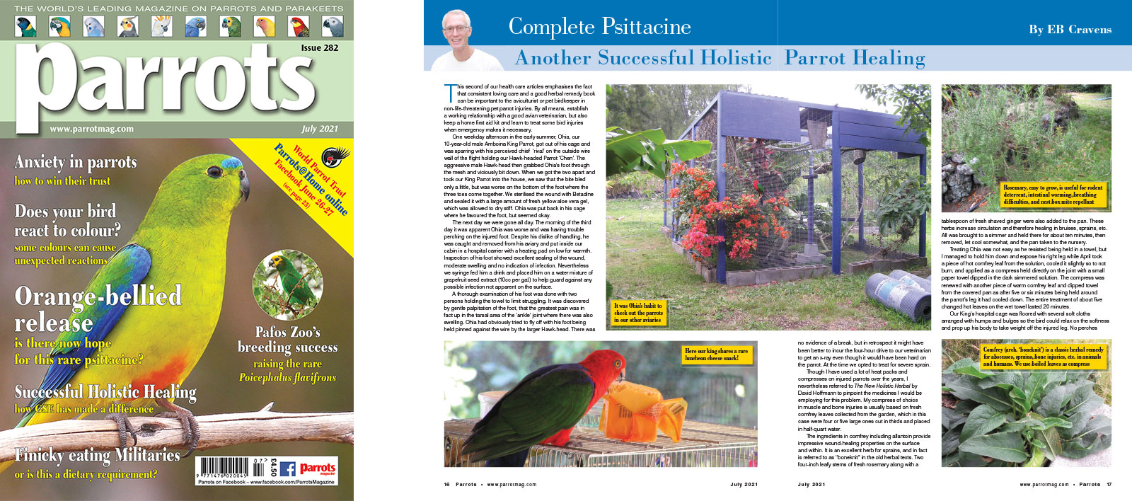 Spreads for web Parrots 278 4