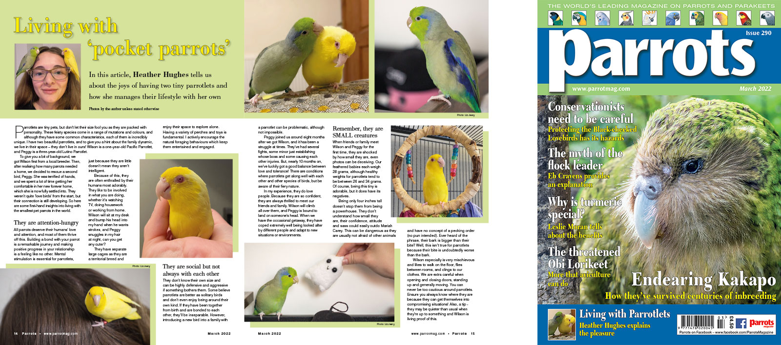 Spreads for web Parrots 278 4